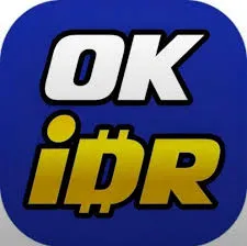 OKIDR - Kompas Digital Terbaik untuk Navigasi yang Akurat